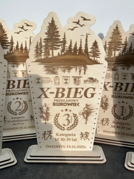 Statuetka Drewniana Personalizowana Puchar Trofeum Grawer Sklejka Na Zamówienie Mega Prezencik